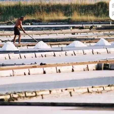 Dts3 Apartment Kastel