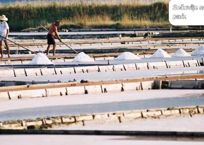 Dts3 Appartement Kaštel